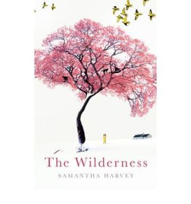 Book purchased from <a href="http://www.bookdepository.co.uk/book/9780224089685/The-Wilderness">the Book Depository</a>